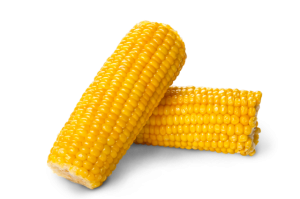 Corn PNG image-5295